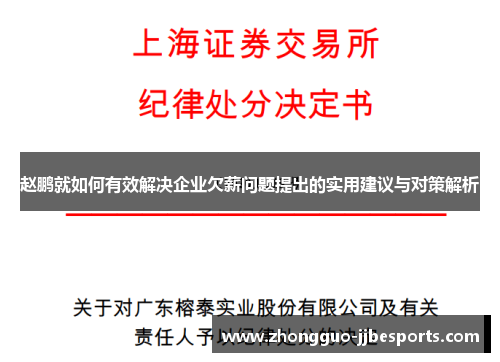 赵鹏就如何有效解决企业欠薪问题提出的实用建议与对策解析