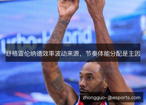 舒格雷伦纳德效率波动来源，节奏体能分配是主因